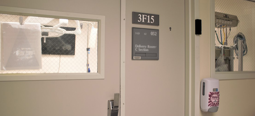 Labor and Delivery Suite Ben Taub