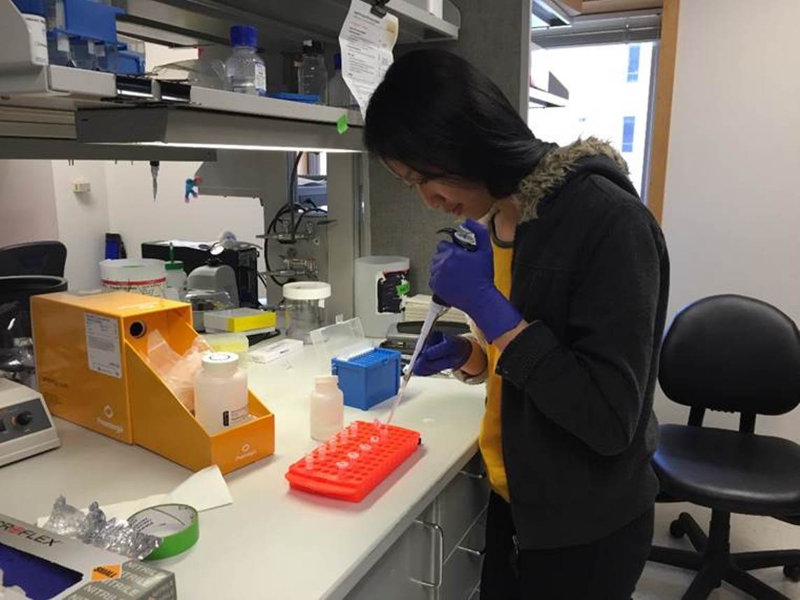 Rachel Hsu isolates DNA for cloning into an expression vector