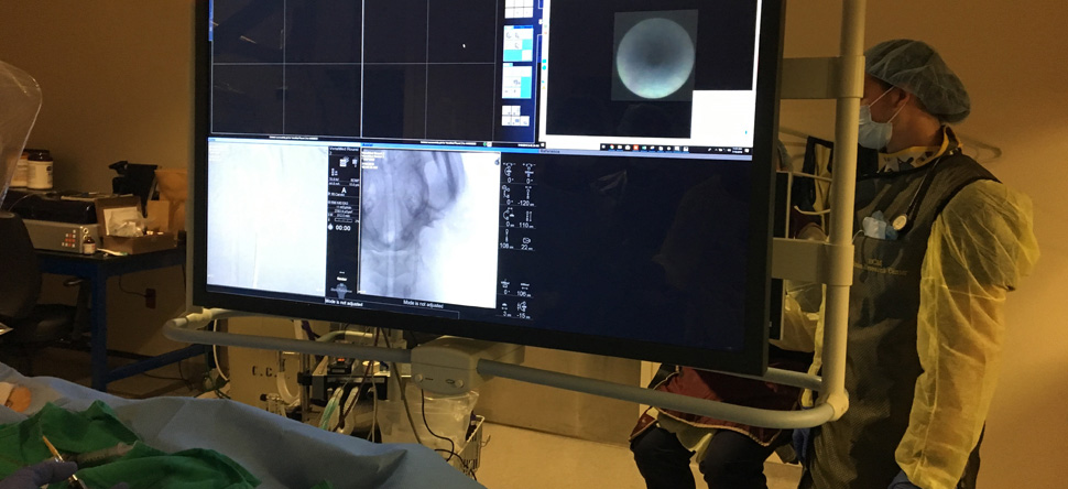 Neurosurgical Education and Innovations Laboratory 2