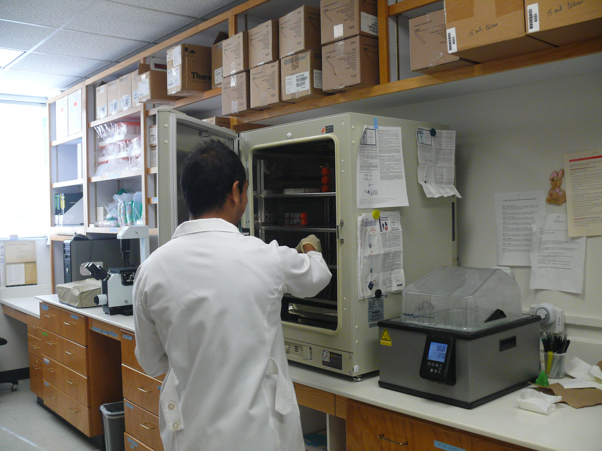 : Rajeev B. Tajhya taking cells out of the CO2 incubator