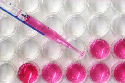 A colored liquid being placed in modules on a tray for research purposes.