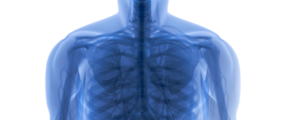 body of work prime art