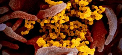 Coronavirus Preparedness