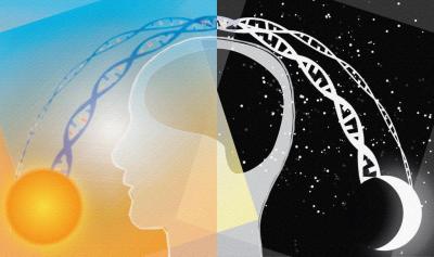 An illustration of a human face between a day and night sky