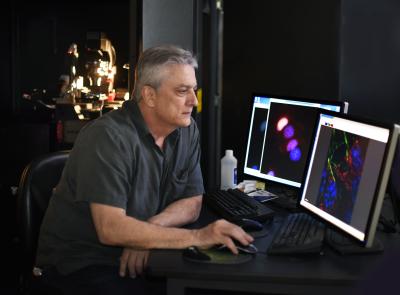 Dr. Micahel Mancini working in his lab