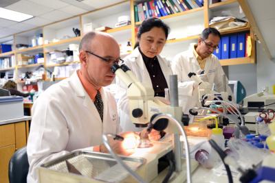 Dr. Martin M. Matzuk (left), director of the Center for Drug Discovery and vice chair of pathology & immunology