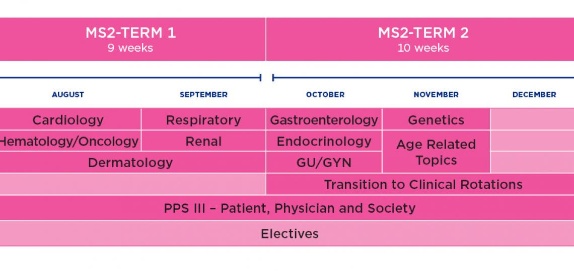 MD Program curriculum schematic year 2 - Fall