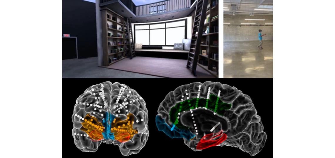 Investigating the Neural Mechanisms Underlying Ad-hoc Self-Programmability: