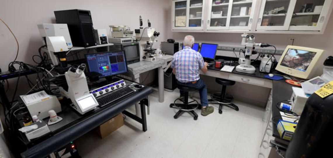 main microscope room