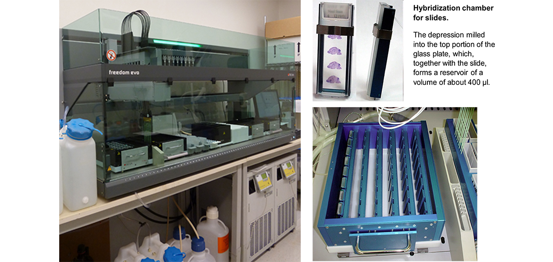 Tecan EVO liquid handling robot modified to handle slides, flow-through chambers and thermorack..