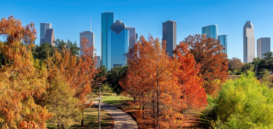 The Houston skyline behind a row of orange and yellow-colored trees.