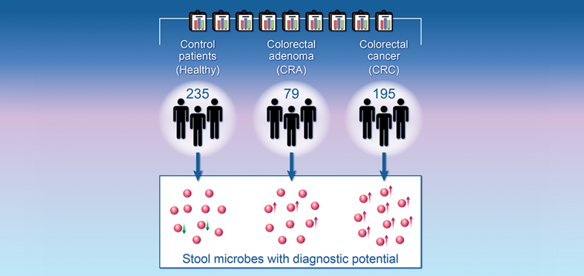 The researchers reanalyzed raw bacterial DNA sequence data from several studies and confirmed previously reported types of bacteria associated with colorectal cancer and identified other bacteria not previously associated with the disease.