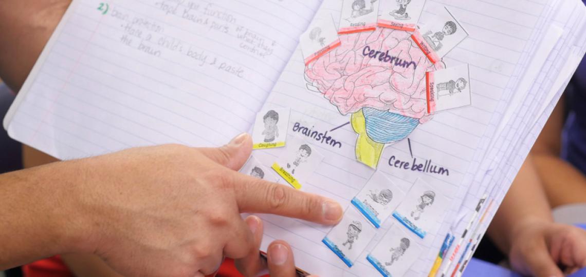 CEO BCMAR K-2 Neuroscience