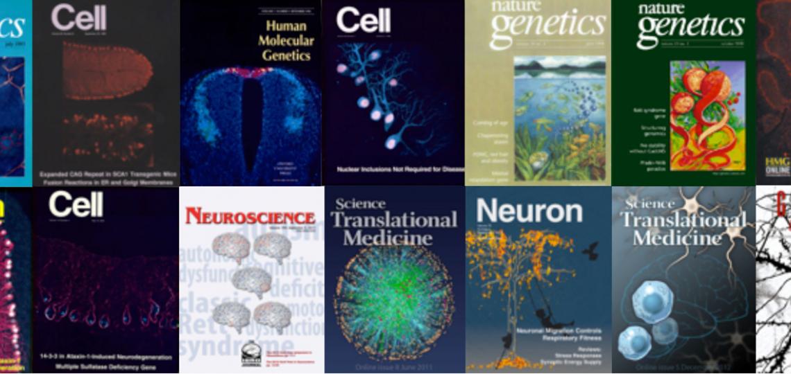 HZjournalcoverscarousel