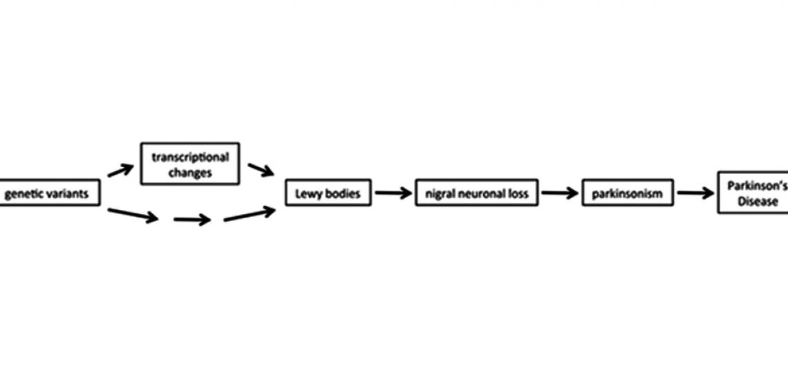 Exploring the contribution of common and rare genomic variation to disease susceptibility and progression.
