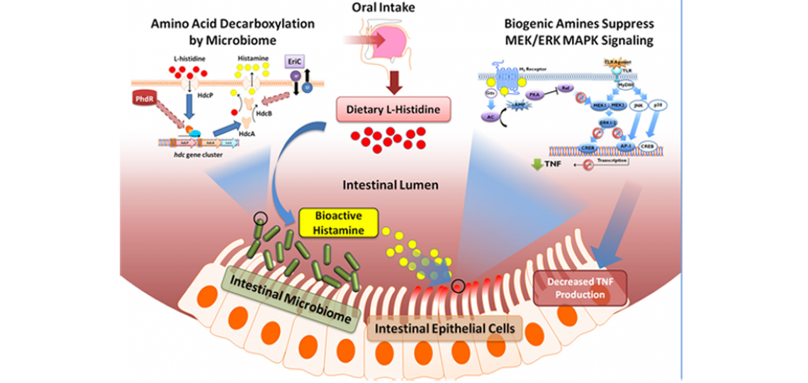 Summary and Conclusion
