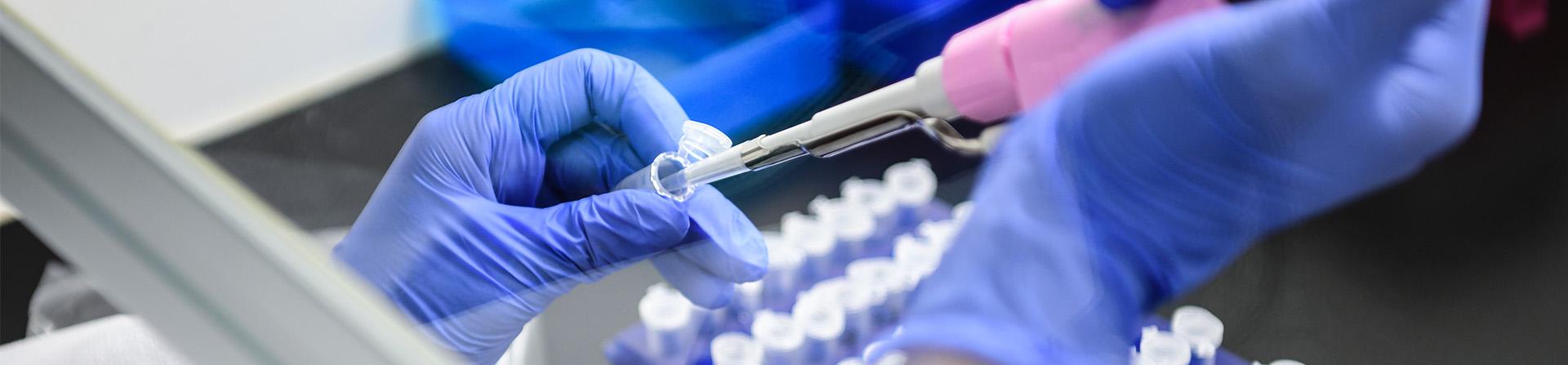 Molecular Virology & Microbiology 