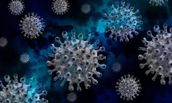 artist rendition of the coronavirus