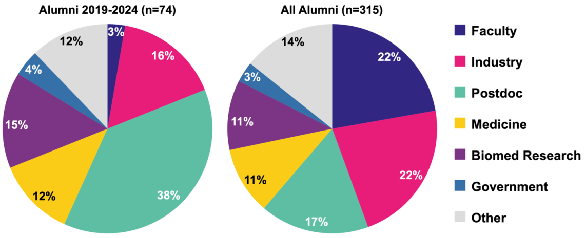 A graphic display of the text on the page.