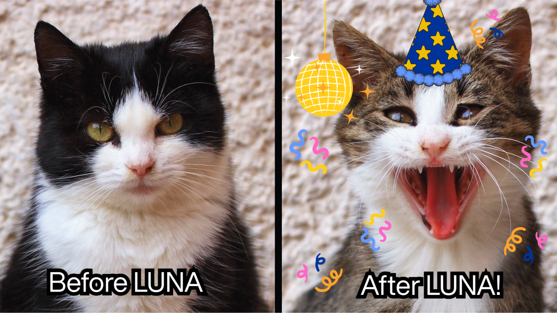 The words "before LUNA" are shown below a normal looking black and white cat and the words "after LUNA!" are shown below a happy cat wearing a party hat along with confetti and a disco ball.  