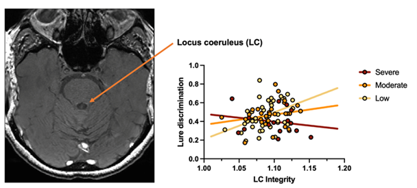 Drs. Lorena Ferguson and Stephanie Leal project