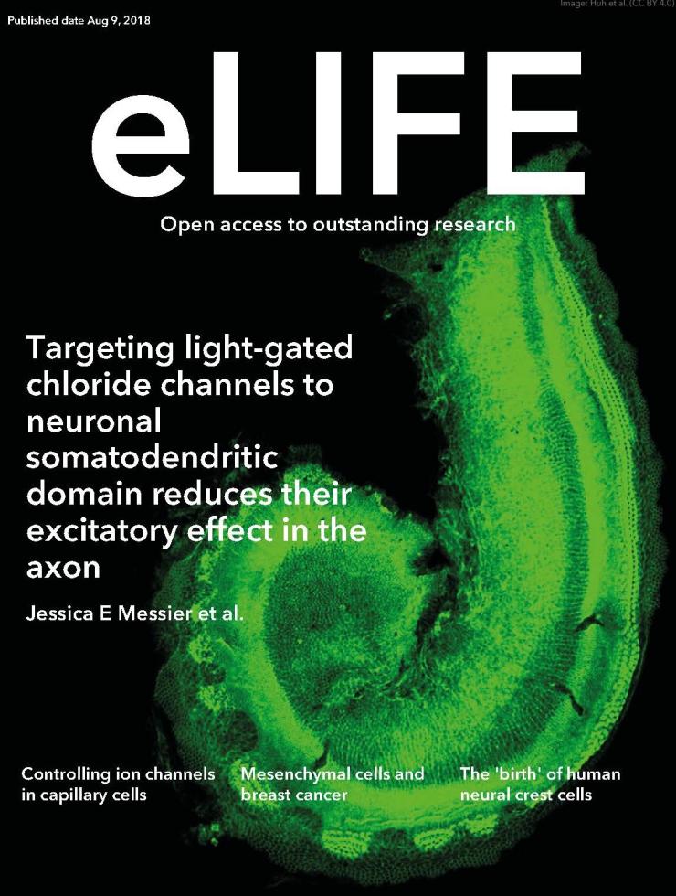 Xue Lab Publication Cover