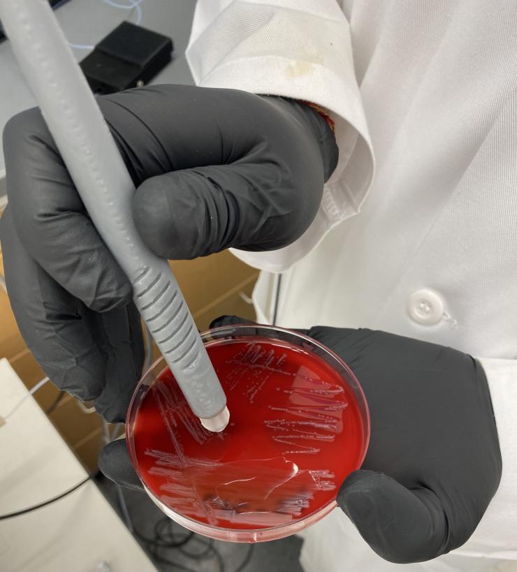 Identification of Infectious Diseases