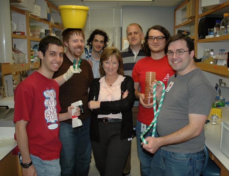Lynn Zechiedrich, Ph.D., center, is shown with members of her lab in the Department of Molecular Virology and Microbiology at Baylor College of Medicine. Pictured are, from left, Ben Hornstein, Zachary Conley, Erol Bakkalbasi, Jonathan Fogg, Ph.D., Micha