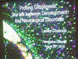 Probing Gliogenesis: The Link Between Development and Neurological Disorders