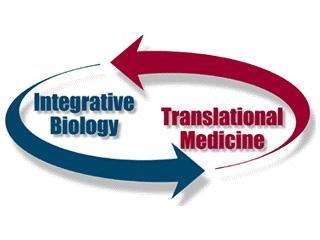 Illustration depicting how the two integrated research groups interact with each other in an ongoing loop.