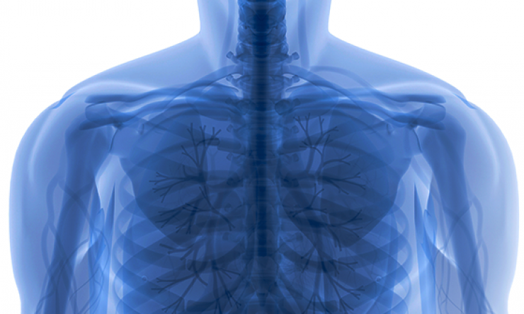 body of work prime art