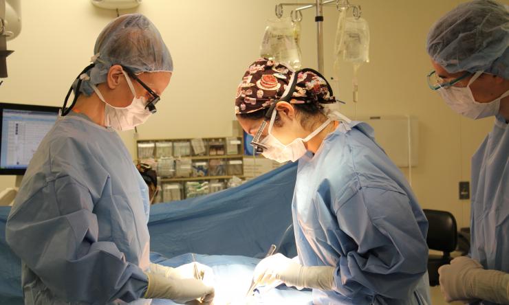 Abdominal Transplantation