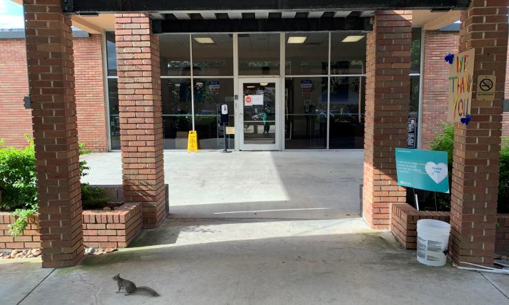 St. Dominics Village