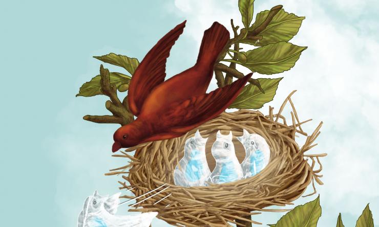 Katherine King Cell Reporters paper image