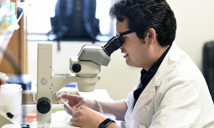 Zheng Zhou Lab Research