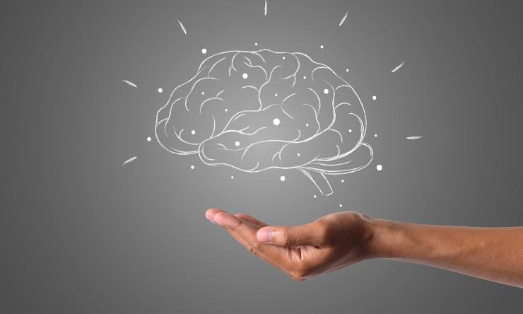 Illustration of a brain with a hand shown under it.