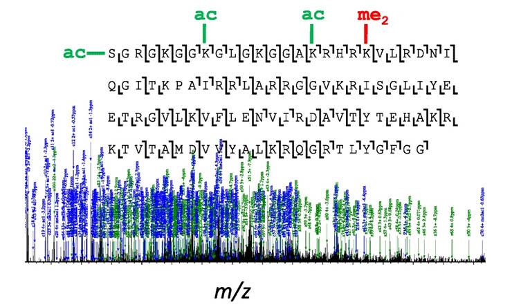 Proteomics and Post-translational Modification Core