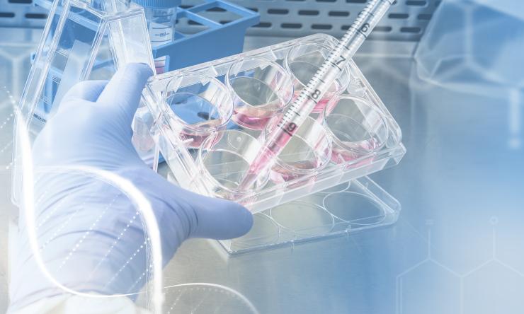 A researcher in a wet lab with a pipet in their hand.