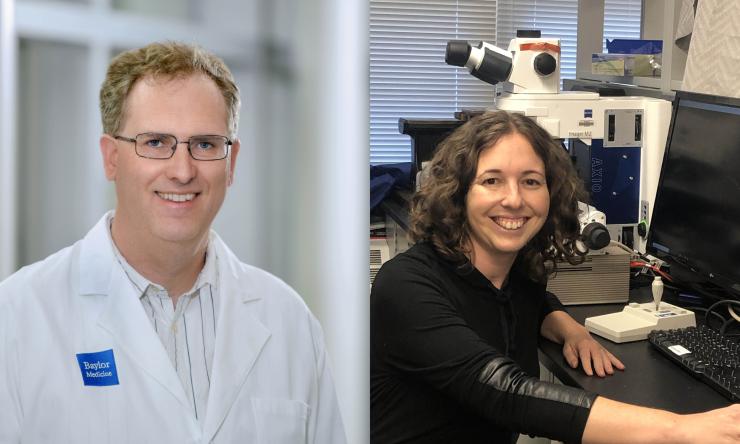 Hayden and Heilbronner collage