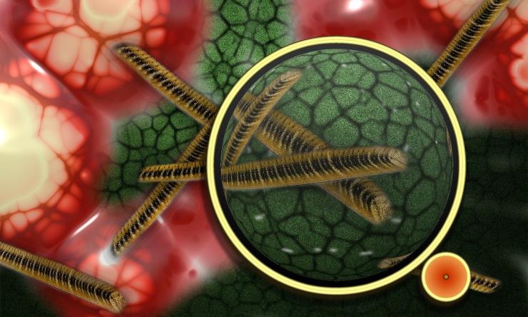 Artists depiction of bacteria under a microscope