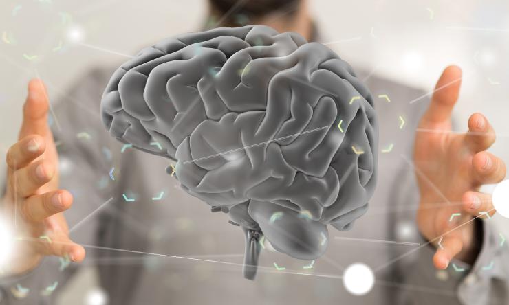 Photo of brain in between hands