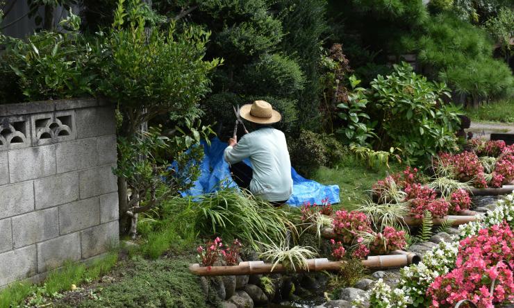 Person kneeling in middle of garden