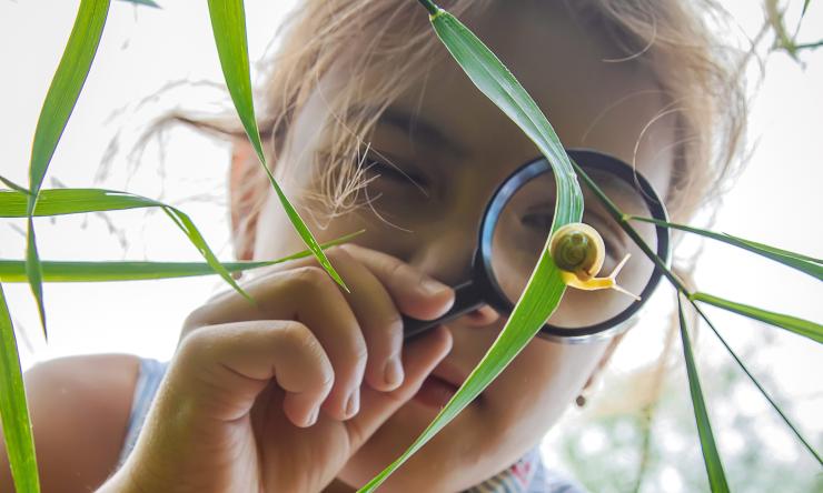 child looking at a snail through a magnifying glass