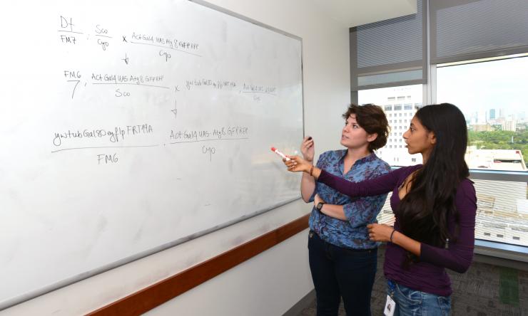 Developmental Biology students Berrak Ugur and Upasana Gala