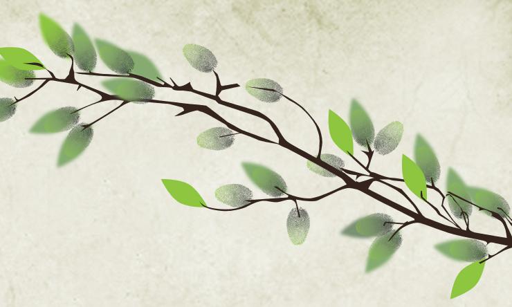 Center for Population Health Research