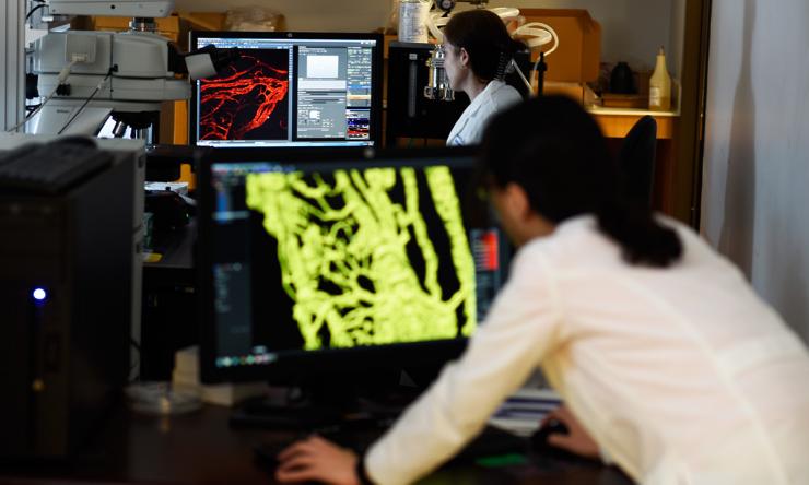 Ophthalmology Research