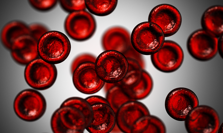 Using a new grant from the Leukemia and Lymphoma Society, a team from Baylor College of Medicine will work to develop more widely applicable targeted cellular therapies for leukemia and lymphoma.